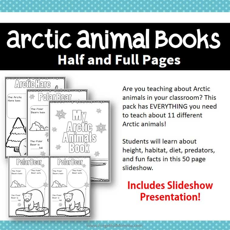 My Arctic Animal Book