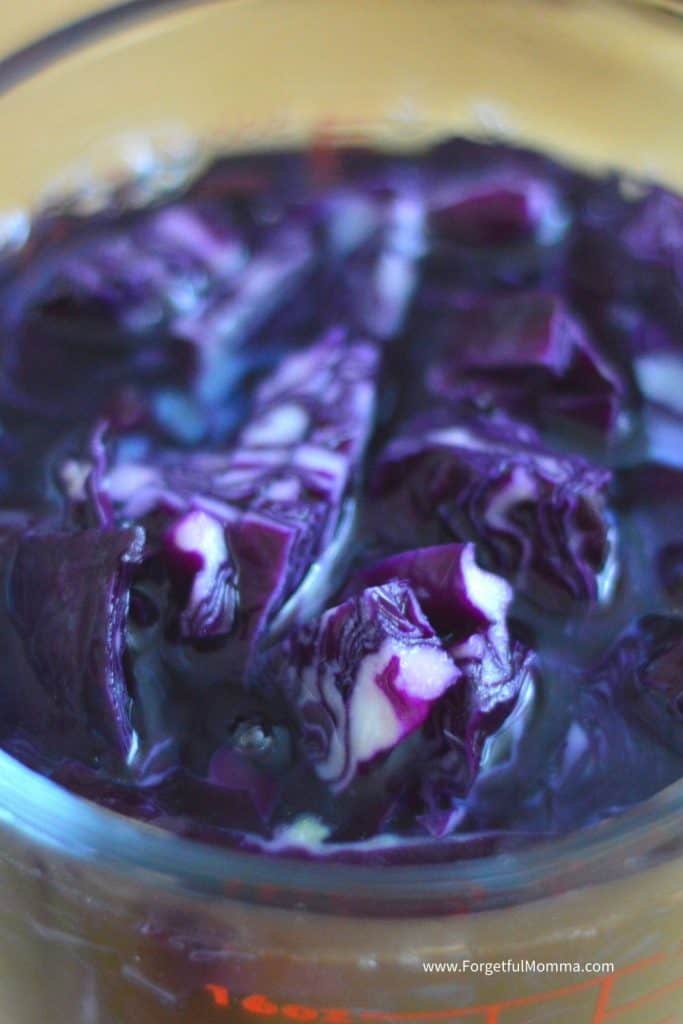 pH Indictor with Red Cabbage - cup of red cabbage