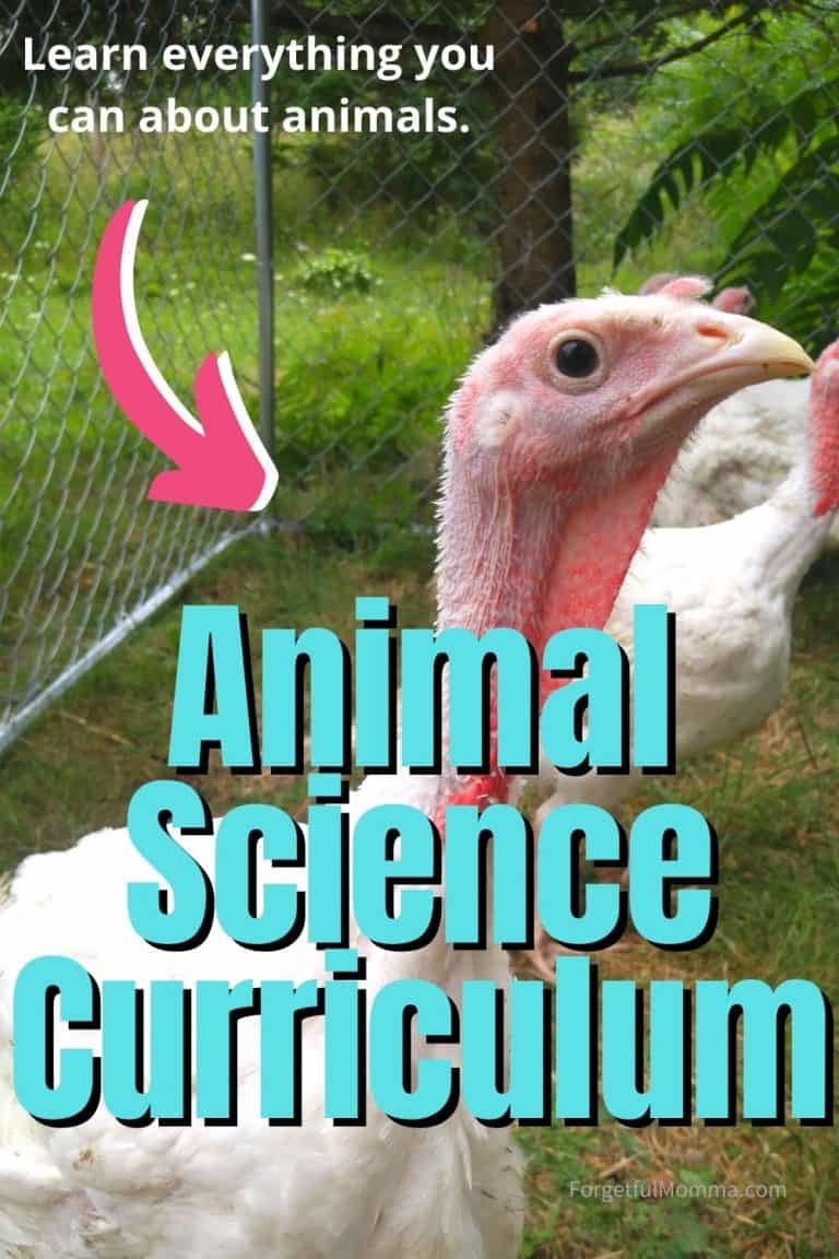 Animal Science Curriculum For Homeschool Forgetful Momma