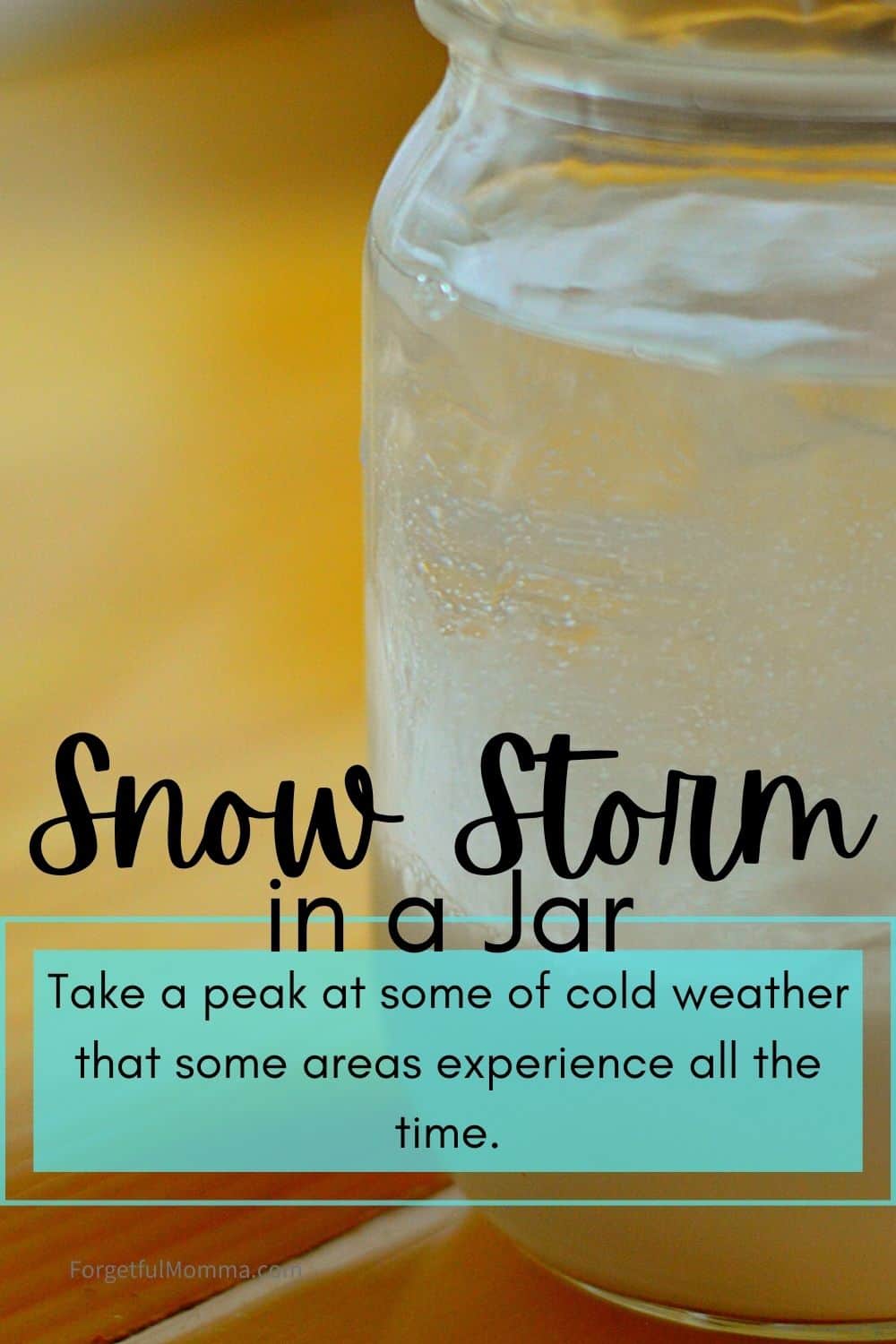 Snow Storm in A Jar Science Experiment
