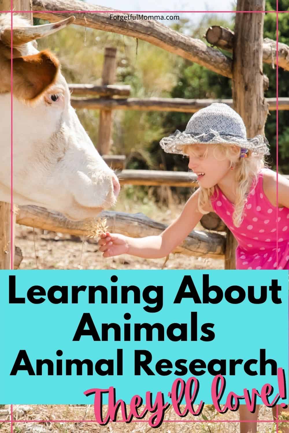 Learning About Animals - Animal Research