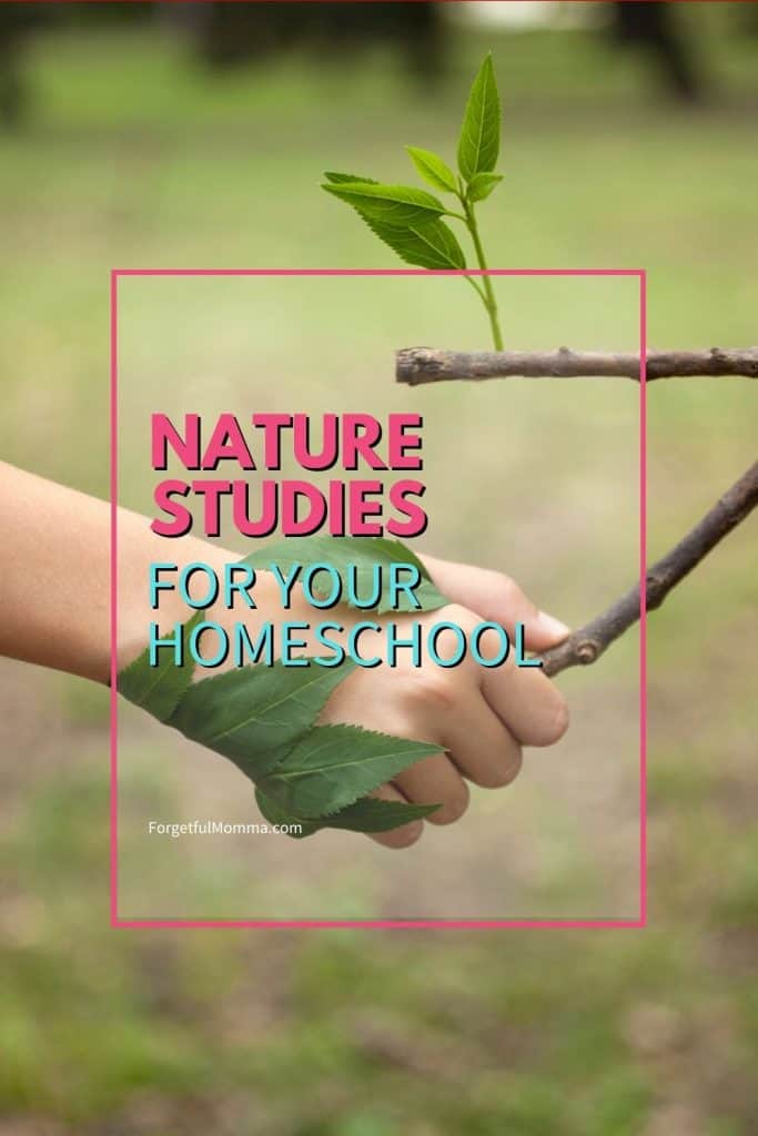 Nature Studies for your Homeschool