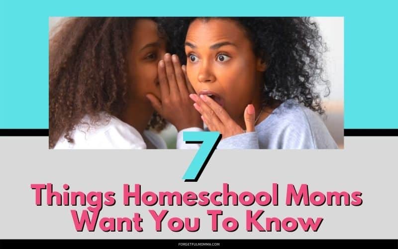 7 Things Homeschool Moms Want You To Know