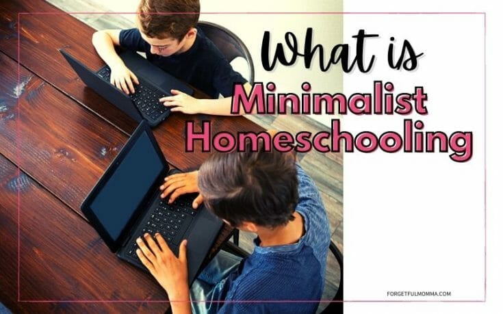 Minimalist Homeschooling Made Simple and Effective