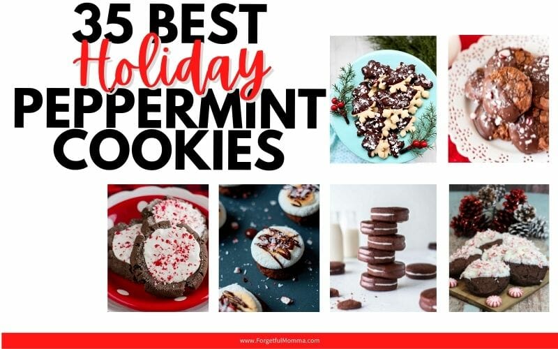 35+ Peppermint Cookie Recipes