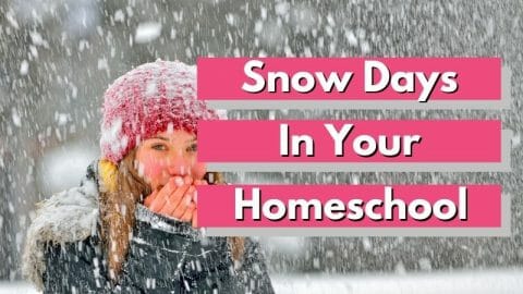 Storm Days in your Homeschool