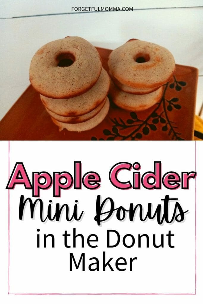 Apple Cider Mini Donuts