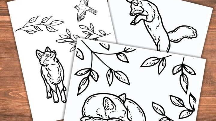 Image for Realistic Fox Coloring Pages