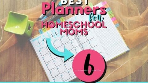 open planner with text overlay