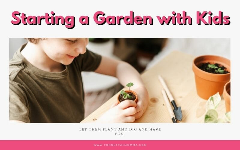 child looking at seedlings in a pot with text overlay