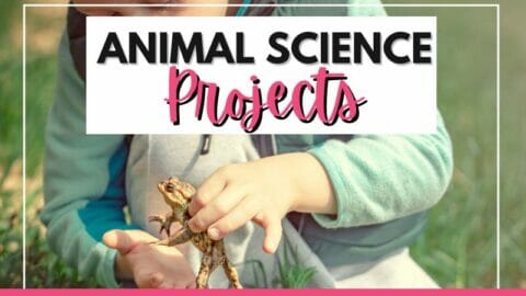 child holding a frog in their hands with text overlay
