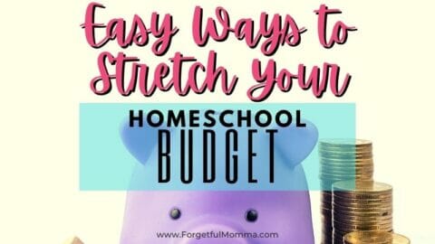 purple piggy bank with coins stacked next to it with text overlay