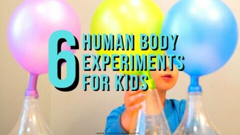 child with balloons and science equipment with text overlay