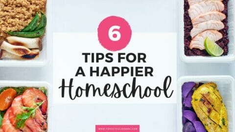 meal planning boxes with 6 Tips for A Happier Homeschool text overlay