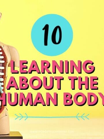 human body model with Learning About the Human Body text overlay
