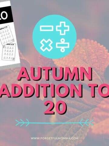 sample of Autumn Addition to 20