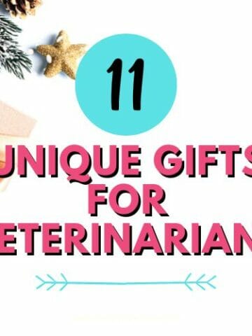 presents with Unique Gifts for Veterinarians text overlay