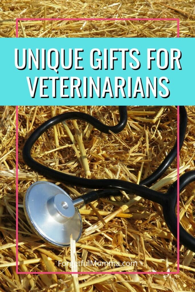 Stethoscope in hay with Unique Gifts for Veterinarians text overlay