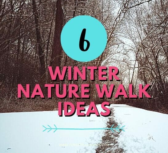 trail through the snow in the woods with Winter Nature Walk Ideas overlay