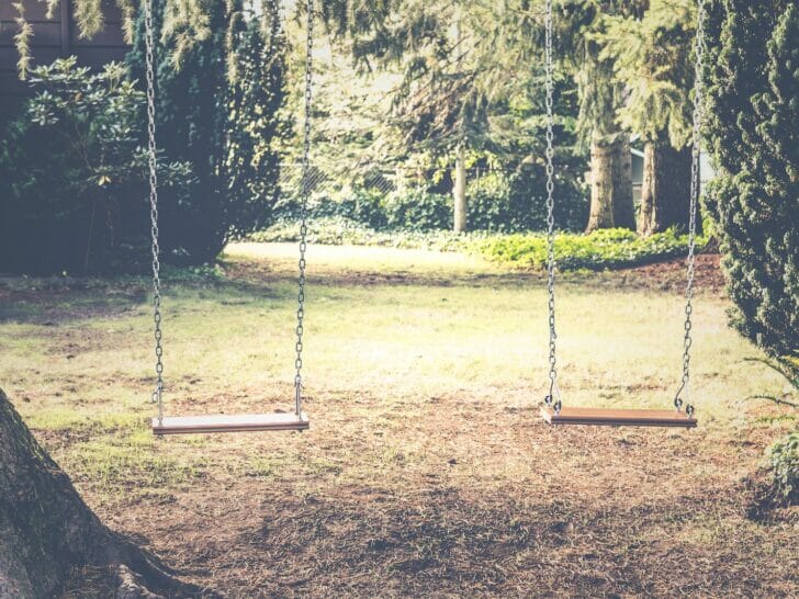 photograph of empty swings between trees