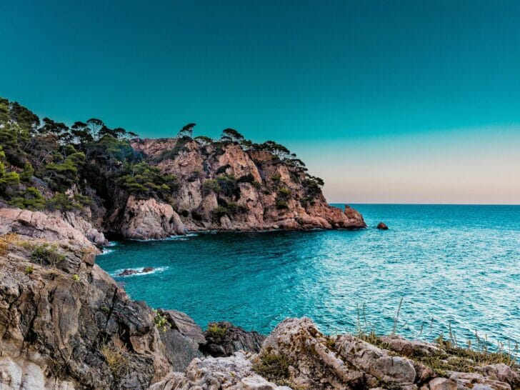 green trees covered island
