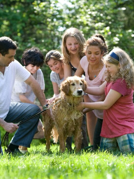 group of people standing on green grass field during daytime