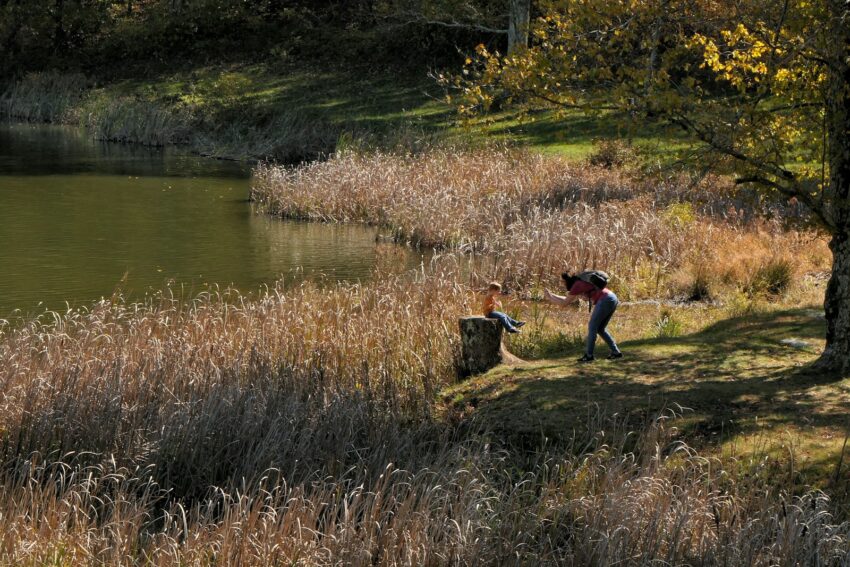 A couple of people walking across a grass covered field