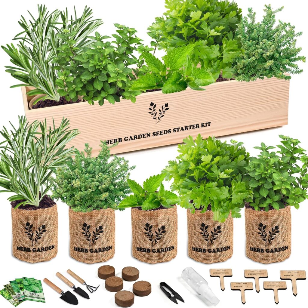Indoor herb-growing kits are great for explaining photosynthesis. 
