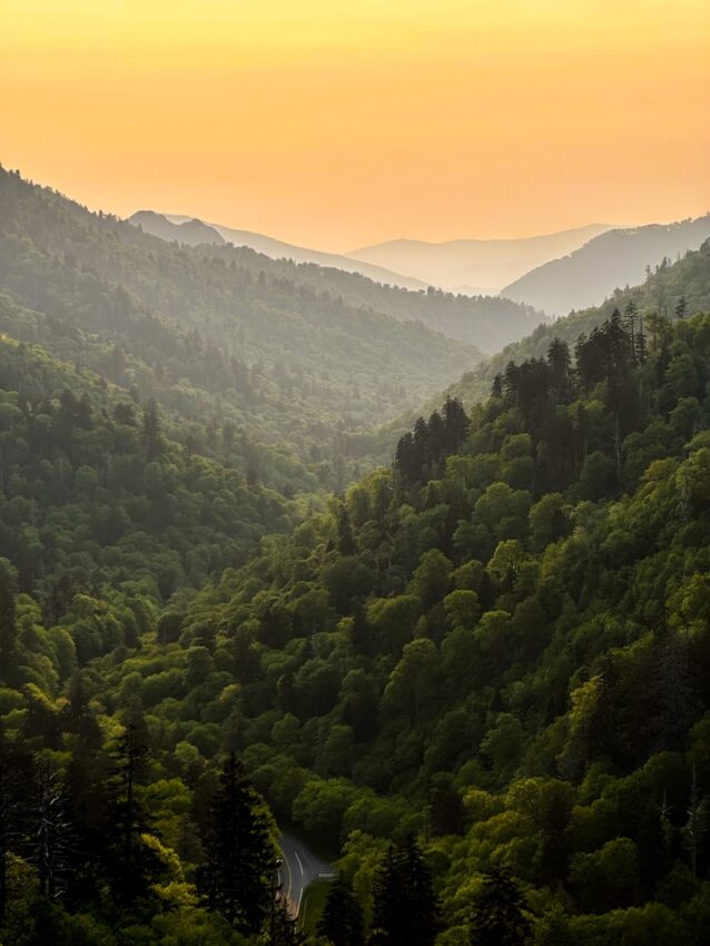 A scenic view of a valley with trees and mountains in the background