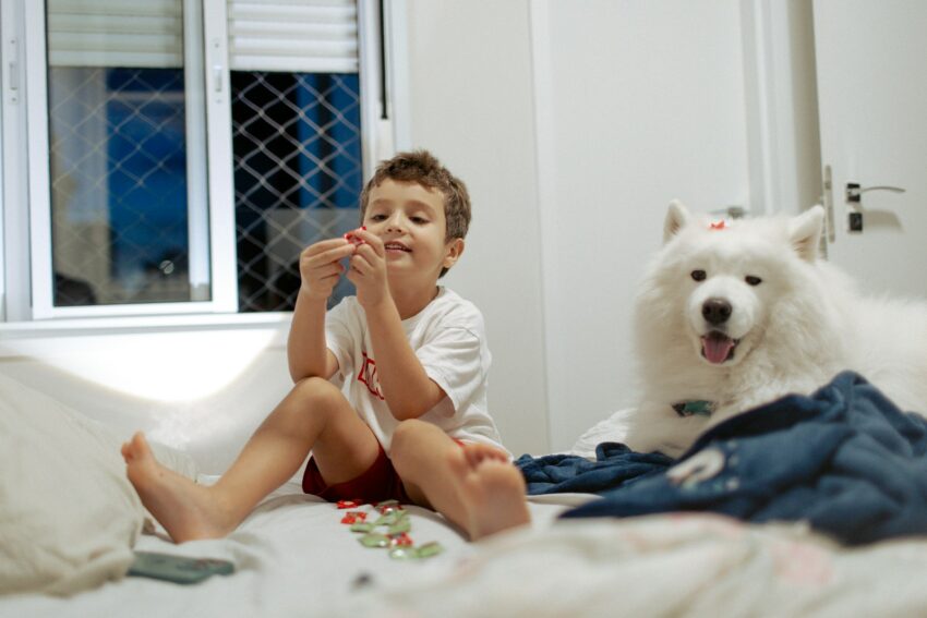 A boy and a white dog sitting on a bed