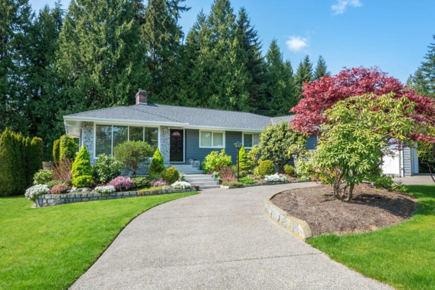 front yard landscaping Sammamish with shade-loving plants under evergreen canopy for curb appeal